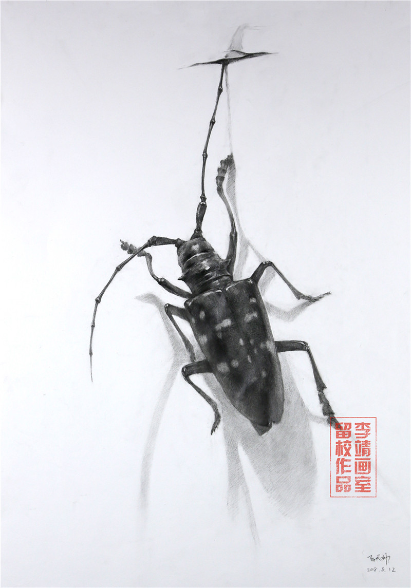 北京画室作品,北京画室培训,北京画室排名