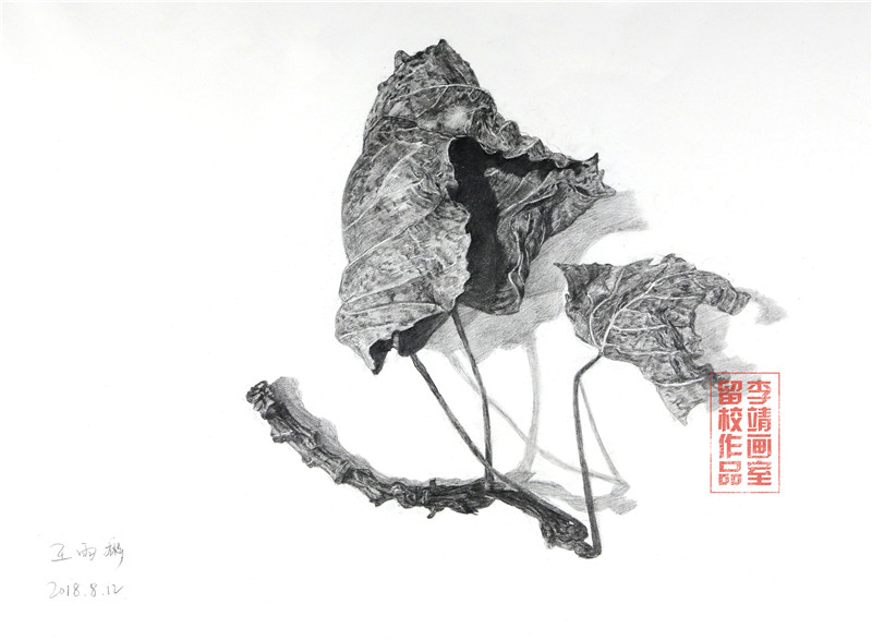 北京画室作品,北京画室培训,北京画室排名