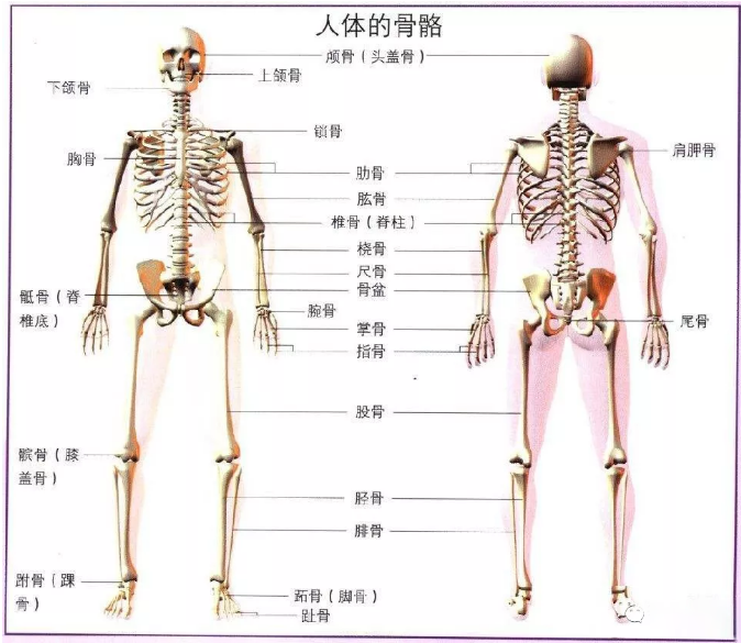 【北京美术高考画室】速写绘画技巧有哪些？