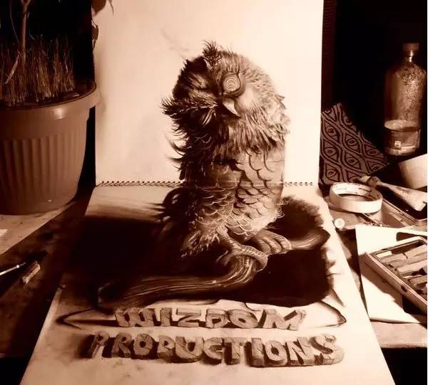 北京画室3D绘画作品，3D猫头鹰