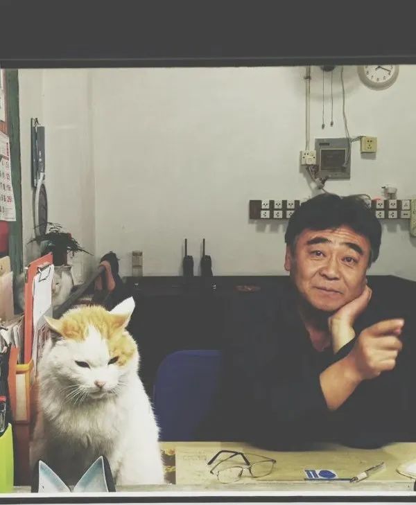 北京画室李美故事会,可爱的猫咪