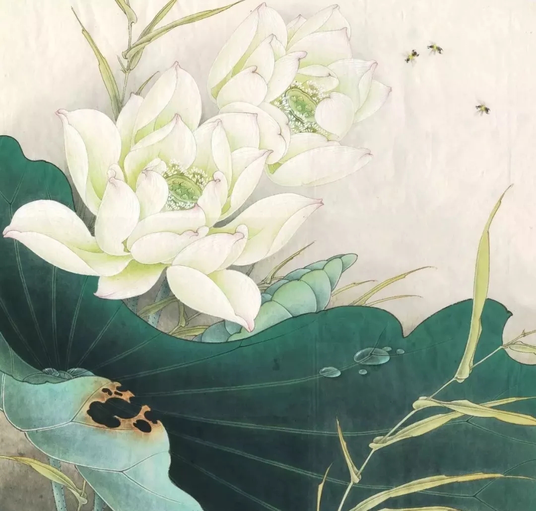 工笔莲花的绘画着色步骤,北京画室,北京美术培训画室    13