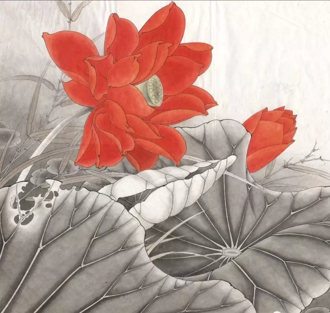 工笔莲花的绘画着色步骤,北京画室,北京美术培训画室    12