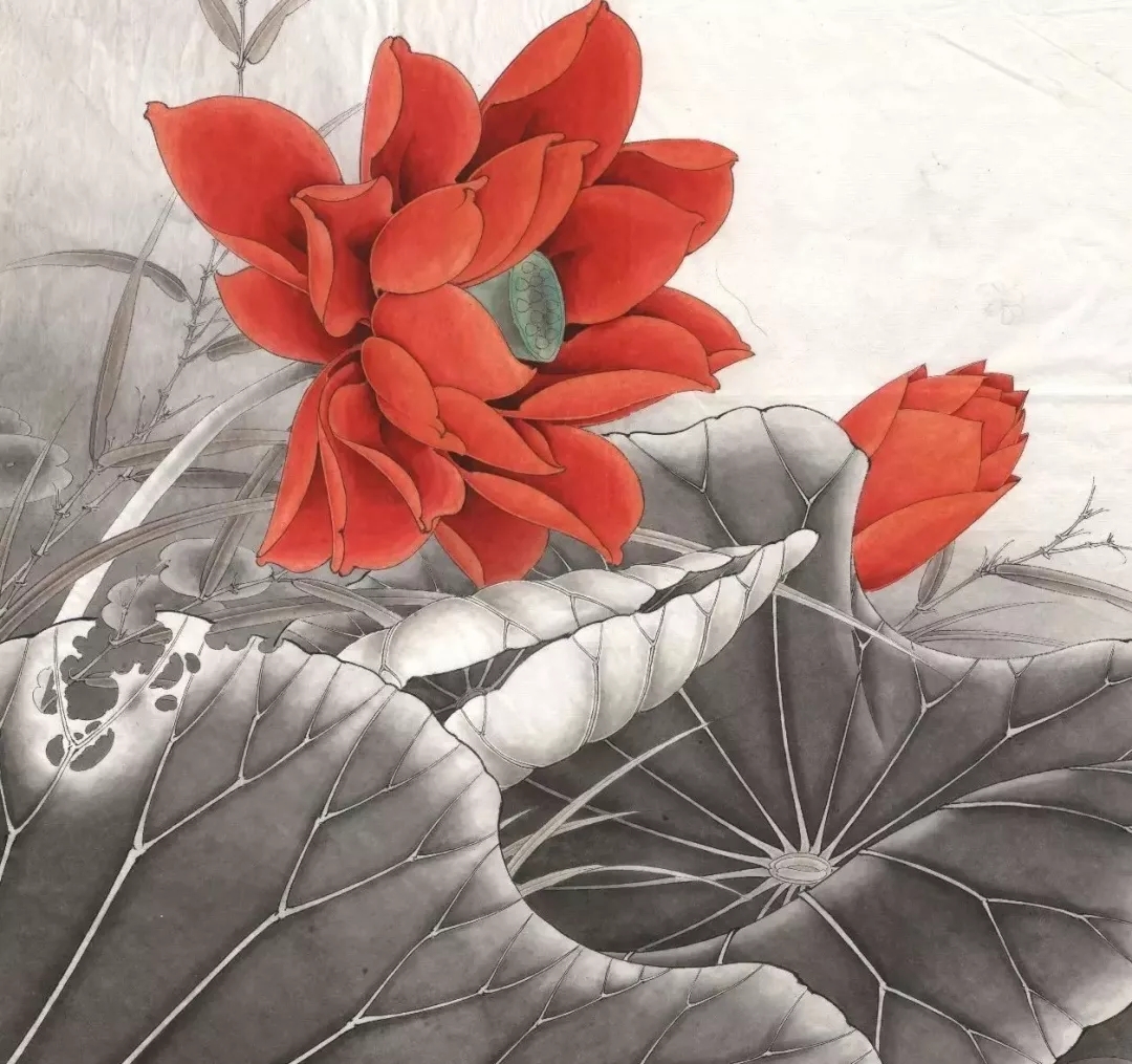 工笔莲花的绘画着色步骤,北京画室,北京美术培训画室    10