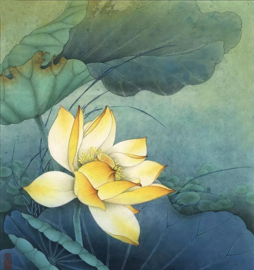 工笔莲花的绘画着色步骤,北京画室,北京美术培训画室    06