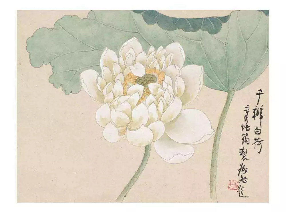 北京画室,北京艺考画室,北京美术培训画室,15