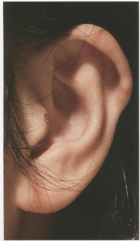 北京美术培训画室超强干货丨素描石膏像之耳朵的刻画,09