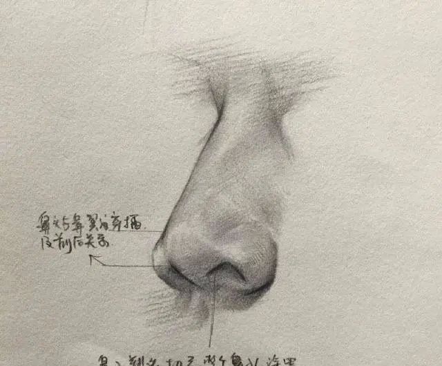 素描五官，北京美术培训班手把手给你教怎么才能画的更好,08