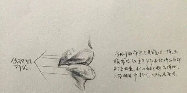 素描五官，北京美术培训班手把手给你教怎么才能画的更好,13