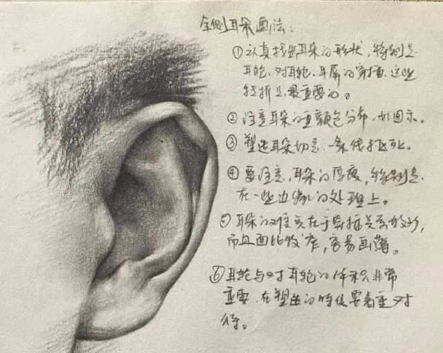 素描五官，北京美术培训班手把手给你教怎么才能画的更好,17