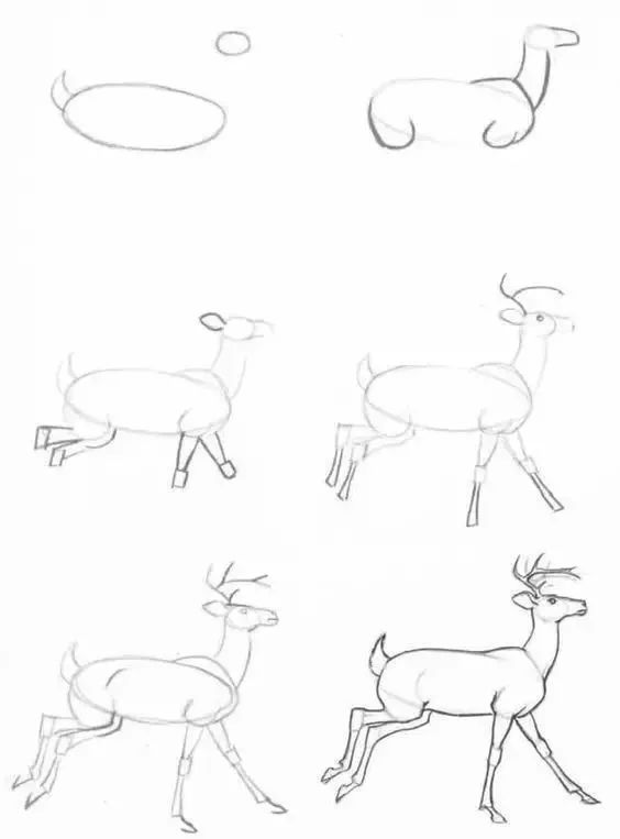 北京画室老师送你1000个动物绘画样式！够你一年消化了,44