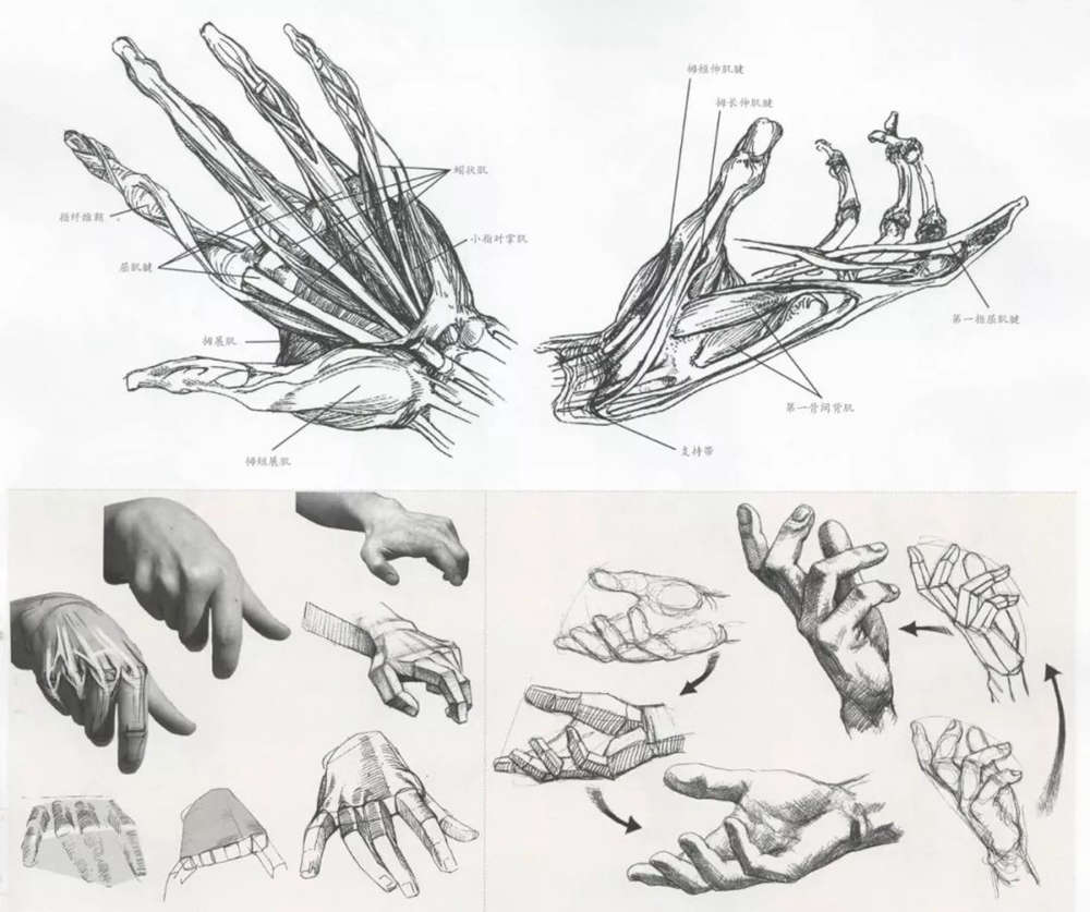 北京美术培训画室老师手把手教你如何刻画速写之手部、脚部和鞋,01