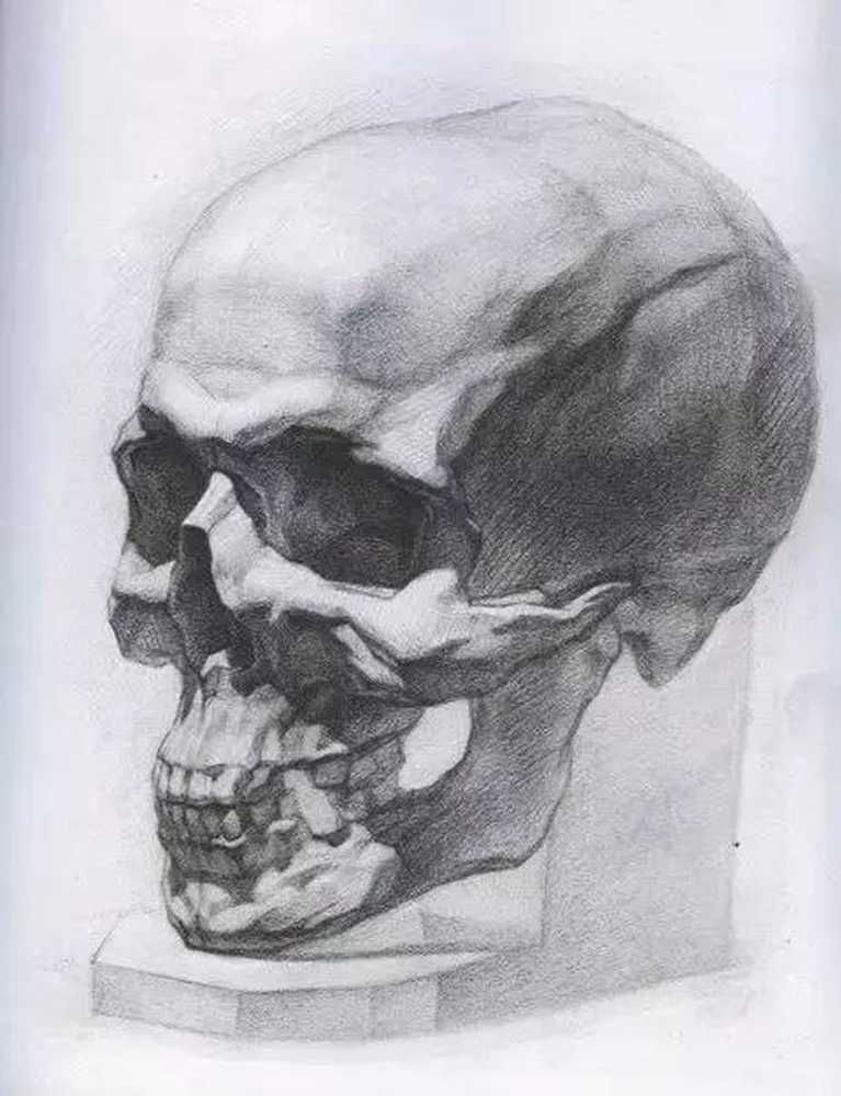 想做美术生？北京画室建议先把这些简单的画一遍,30