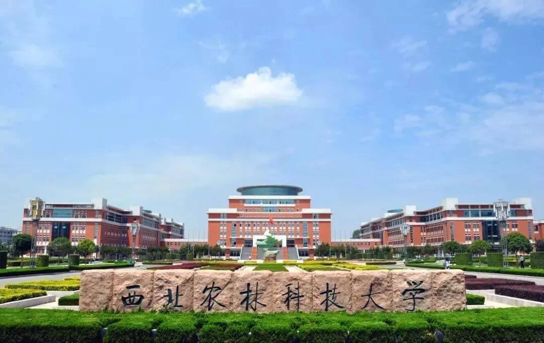 北京画室已将发布艺考信息的25所高校整理好,25