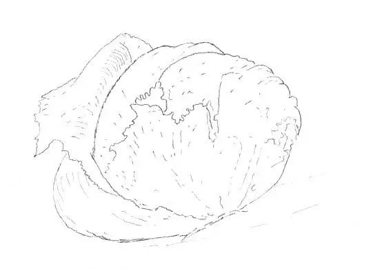 这篇素描步骤解析就是零基础的看着也能画出来！李靖画室附图6