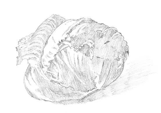 这篇素描步骤解析就是零基础的看着也能画出来！李靖画室附图7