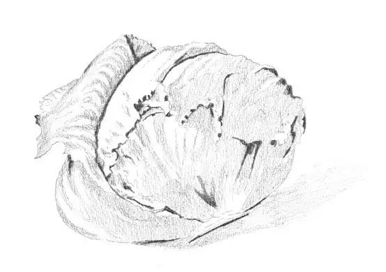 这篇素描步骤解析就是零基础的看着也能画出来！李靖画室附图8