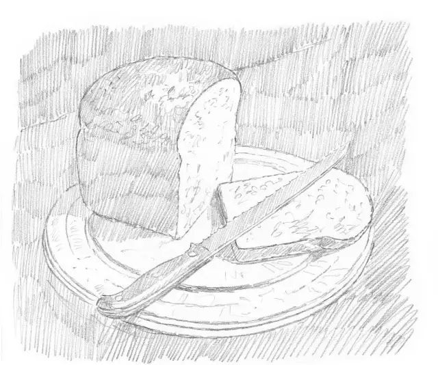 这篇素描步骤解析就是零基础的看着也能画出来！李靖画室附图12