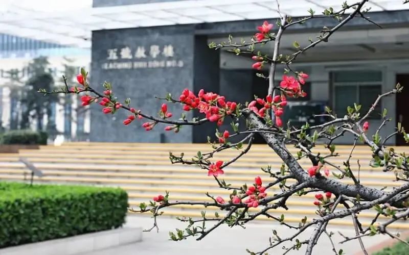 北京画室发来贺电，2021年美术生校考合格线已发布！