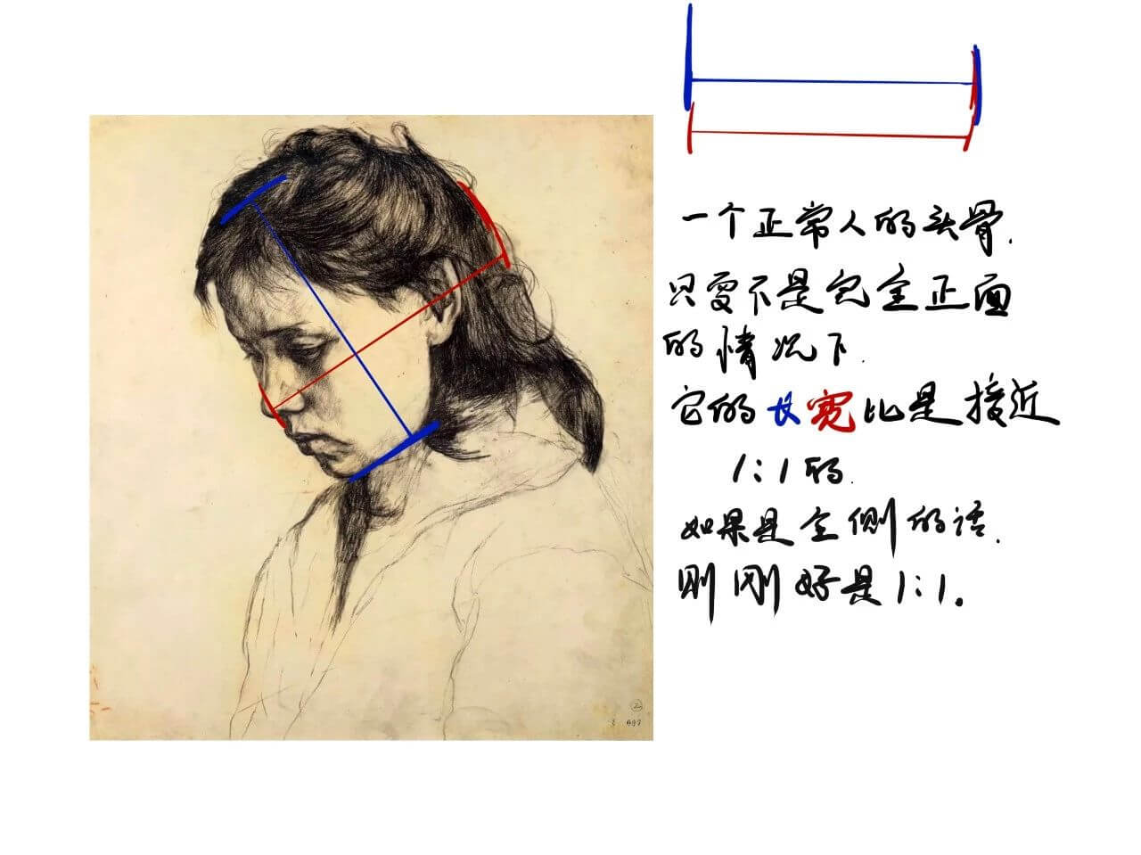 北京画室告诉你不为人知的头部冷知识，美院85分不是梦！