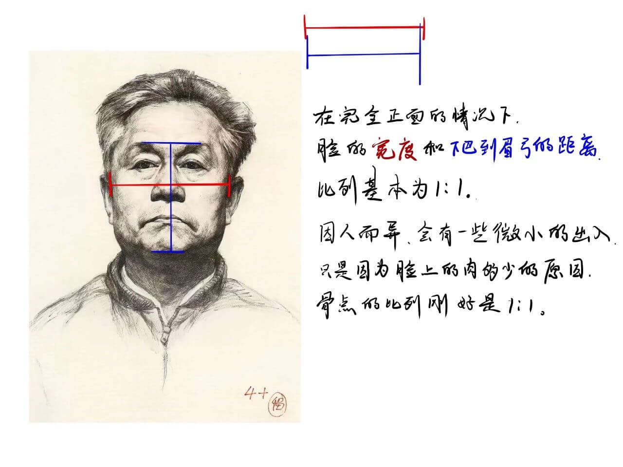 北京画室告诉你不为人知的头部冷知识，美院85分不是梦！