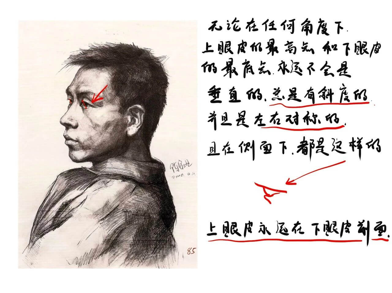 北京画室告诉你不为人知的头部冷知识,美院85分不是梦!