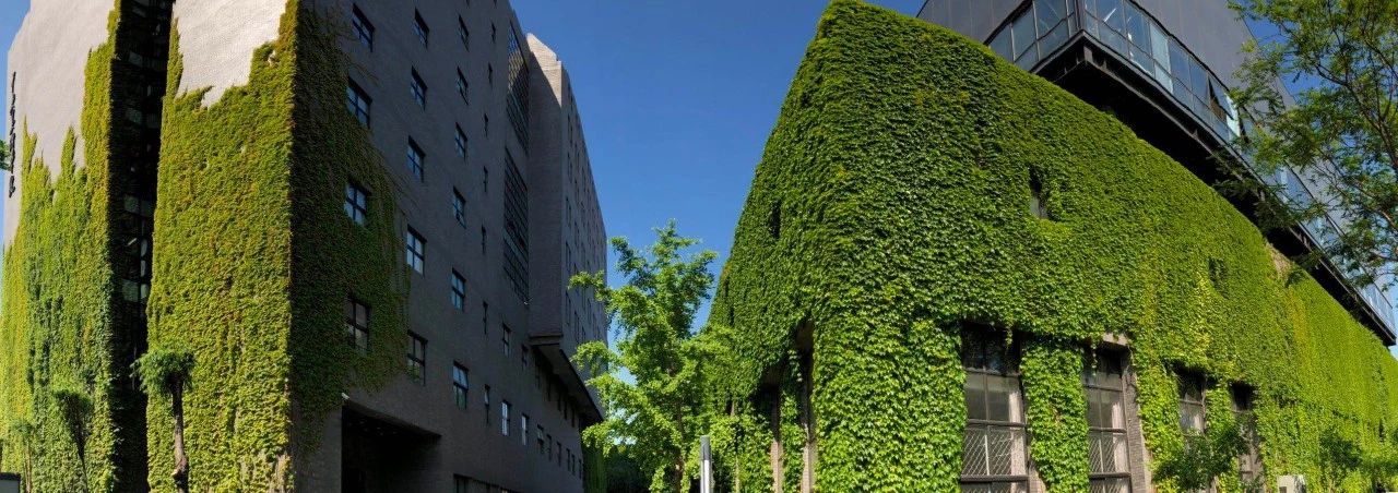 在央美上学是什么感觉？今天北京画室老师带你来体验一把！
