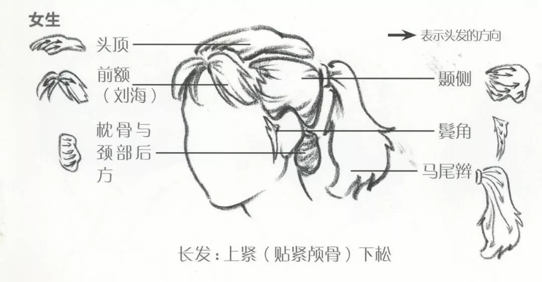 干货分享：速写头发的五大刻画要点10