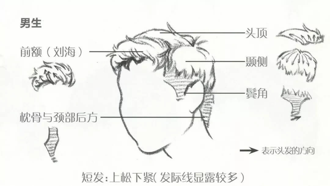 干货分享：速写头发的五大刻画要点11