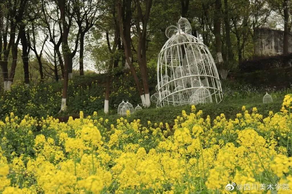 九大美院校园环境大曝光，快跟随北京画室来看看24