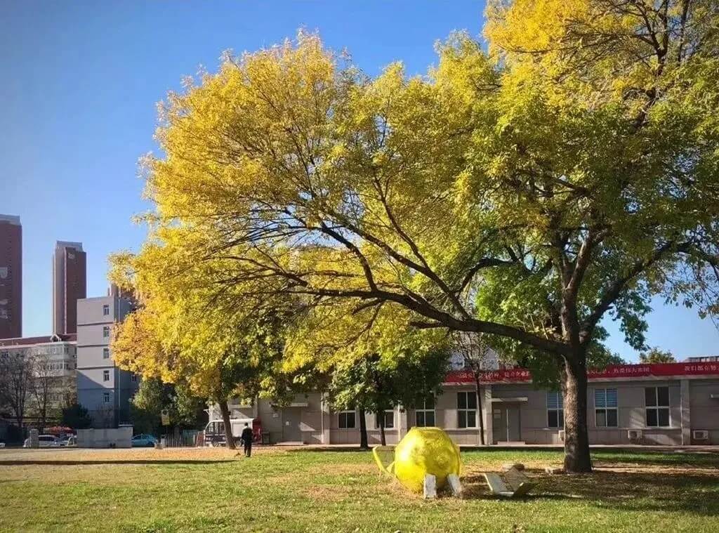 九大美院校园环境大曝光，快跟随北京画室来看看39