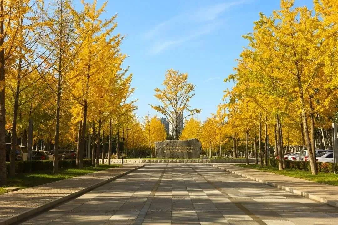 北京校考画室